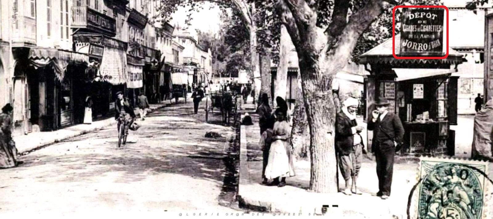 813- Sidi-Bel-Abbes - Rue Catina2.jpg